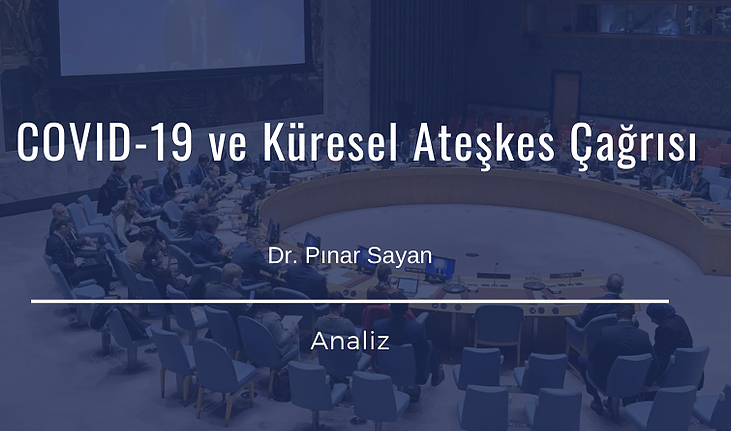 İstanbul Politik Araştırmalar Enstitüsü, Dr. Öğr. Üyemiz Pınar Sayan'ın Çalışmasını Yayımladı