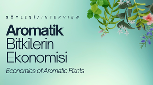 Aromatik Bitkilerin Ekonomisi